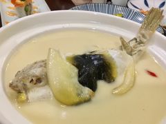 养颜白汁河豚-肆月河豚·新淮扬(金融街店)