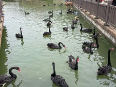 -无锡动物园·太湖欢乐园