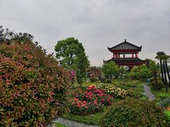 -南京银杏湖乐园