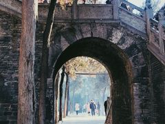-洛阳白马寺