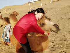 -亿利库布其七星湖沙漠生态旅游区