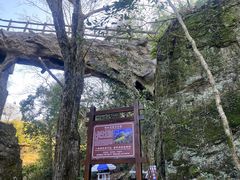 -石台牯牛降景区