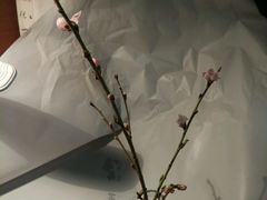 -Butchart布查德鲜花(花艺设计中心)