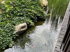 -大连罗马假日酒店温泉