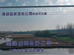 -溱湖国家湿地公园