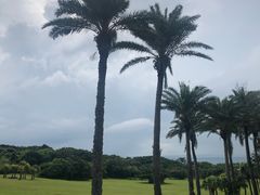 -鹅銮鼻公园
