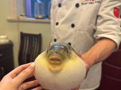 -长顺河豚馆(江洲东路)