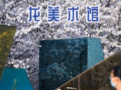 -龙美术馆(西岸馆)