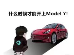 -TESLA 特斯拉(深圳观澜特斯拉直营钣喷中心)