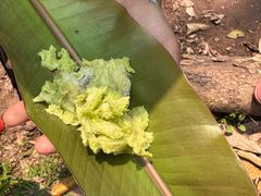 -西双版纳基诺山寨