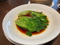 白灼生菜-索菲特酒店·乐轩华中餐厅