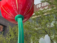 -中粮·祥云小镇