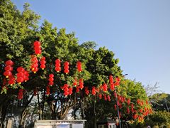 -周正水煮活鱼·吊水鱼(万科店)