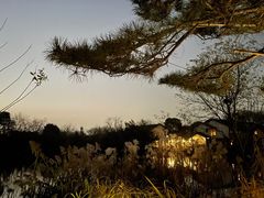 -新荣记(西溪湿地店)