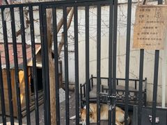 -阿兹凯乐·老洋房西餐