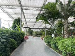 -兴芮温泉度假区