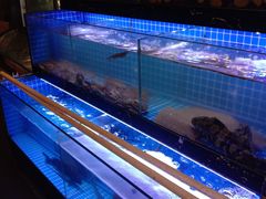 水产区-利杨记·本味轩粥坊·烧烤(宝体店)