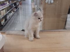 -金茂览秀城
