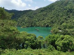 -鼎湖山风景区