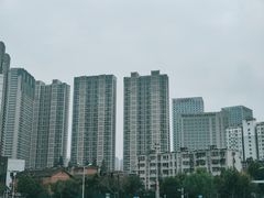 -天鹅湖体育公园