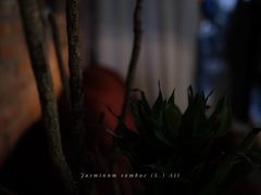 -春庄咖啡SpringHues(钟楼小区店)