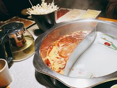 -重庆锦火锅(惠福东路店)