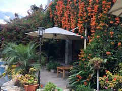 -明月山庄私房菜(环海东路店)