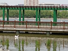 -莲花池公园
