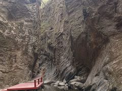 -牛背梁国家森林公园