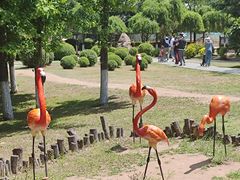 -沈阳鸟岛