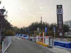 -大兴滨河森林公园