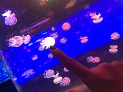 -正佳极地海洋世界