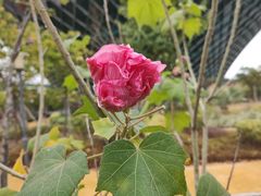 -中国移动南方基地