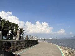 -福田红树林生态公园
