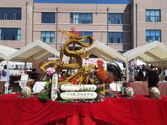 -哈尔滨师范大学(松北校区)