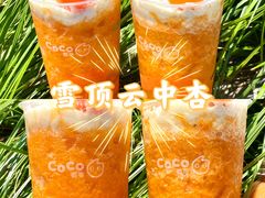 -CoCo都可(湖滨银泰店B区店)