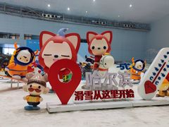 -哈尔滨热雪奇迹