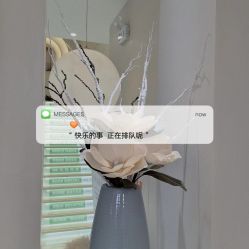 -佳妍惠美科技美肤美体中心