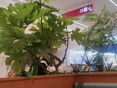 -千日贺茶餐厅(开发区安盛店)