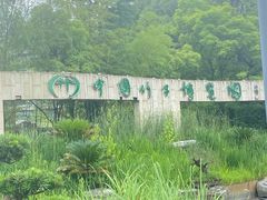 -安吉竹博园