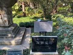 -汇龙潭