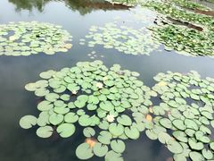 -天赐温泉