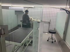-柚子宠物(伊珊娜调理店)