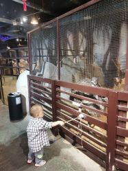 -酷嗒动物文化乐园(cutezoo西溪乐天城店)