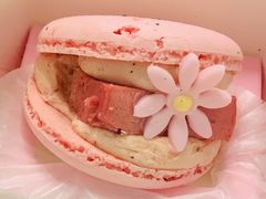-味多美蛋糕(静安庄店)