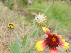 景点-西昌邛海湿地