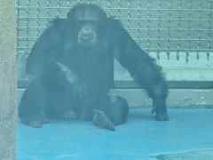 -合肥野生动物园