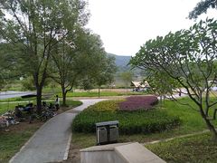 -风云岭森林公园