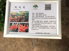 -晶宝温泉农庄