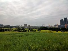 -光明小镇欢乐田园